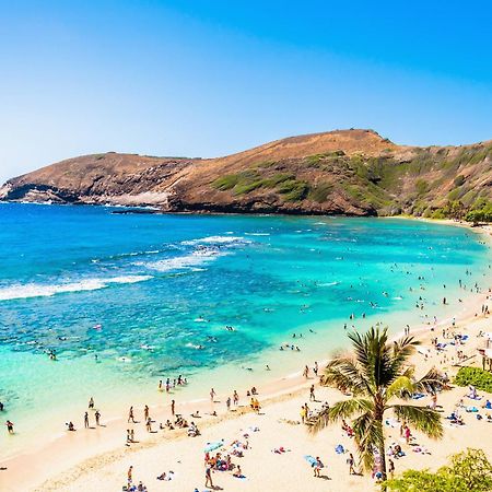Renovated With City View At Aqua Palms Waikiki ホノルル エクステリア 写真