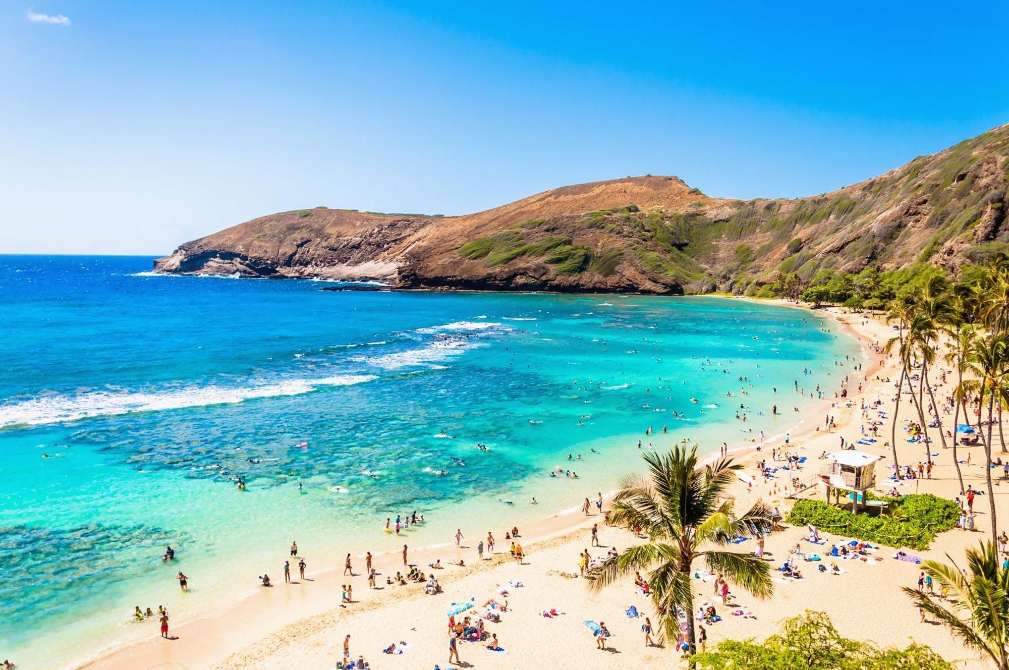 Renovated With City View At Aqua Palms Waikiki ホノルル エクステリア 写真
