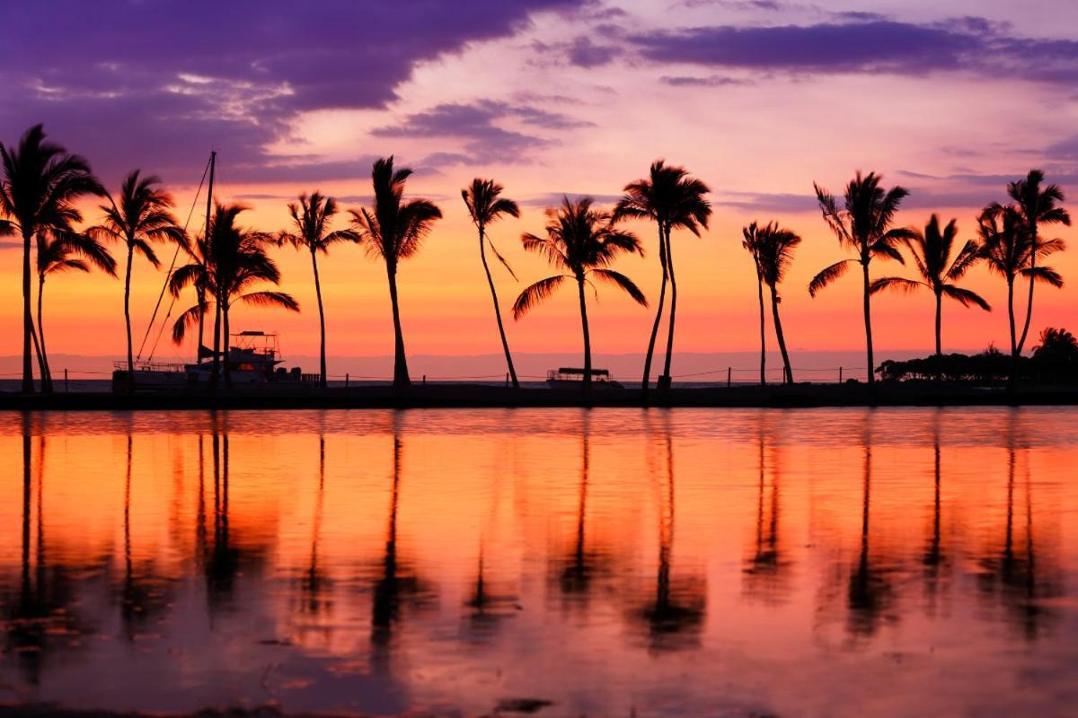 Renovated With City View At Aqua Palms Waikiki ホノルル エクステリア 写真